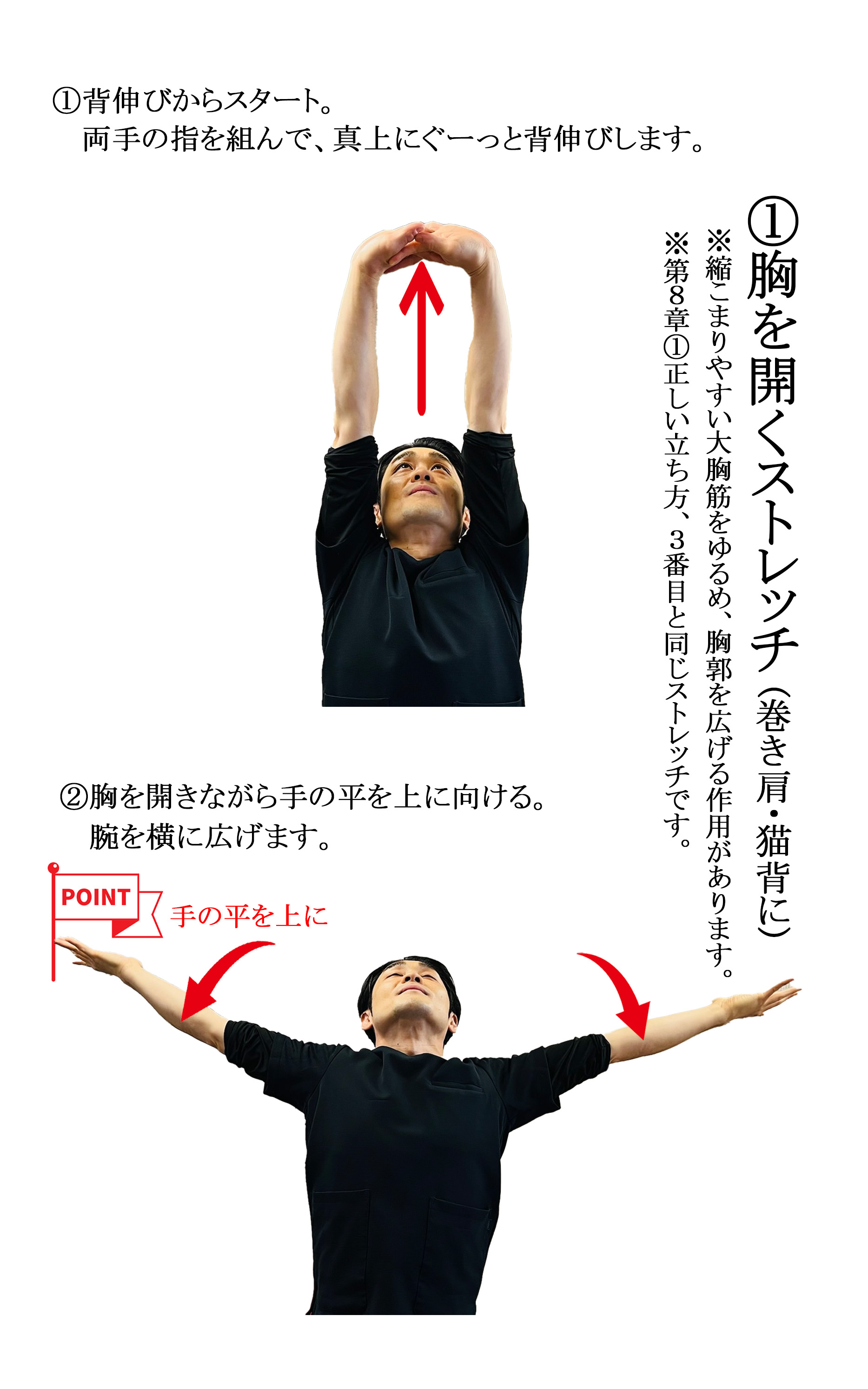 姿勢改善ストレッチ