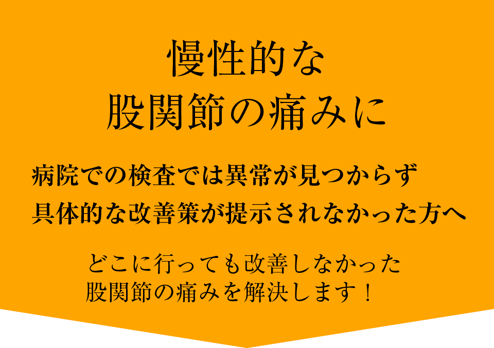 主な症状・疾患 | えびす接骨院