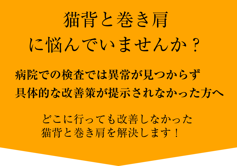 主な症状・疾患 | えびす接骨院