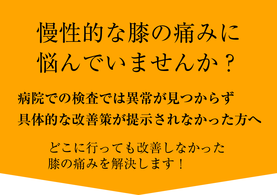 主な症状・疾患 | えびす接骨院