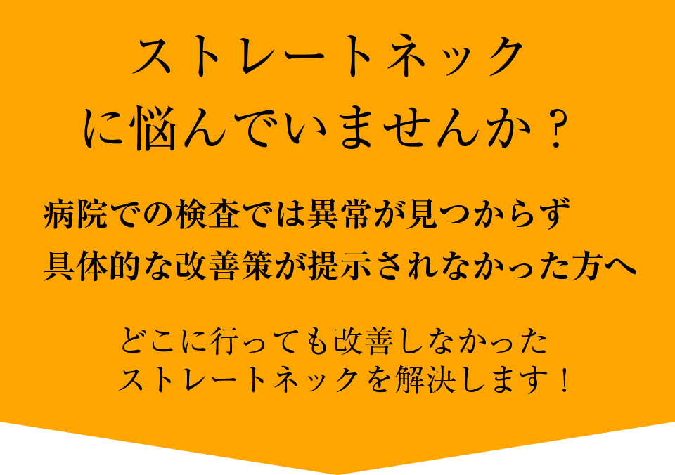 主な症状・疾患 | えびす接骨院