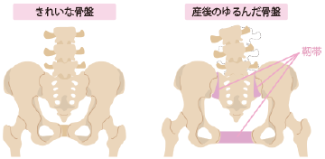 えびす接骨院